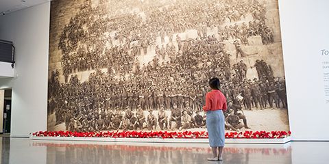 A female Curtin employee, looking at a large picture on the wall at the John Curtin Gallery