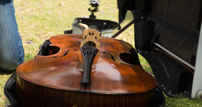 One of the cellos used in the flash mob performance.