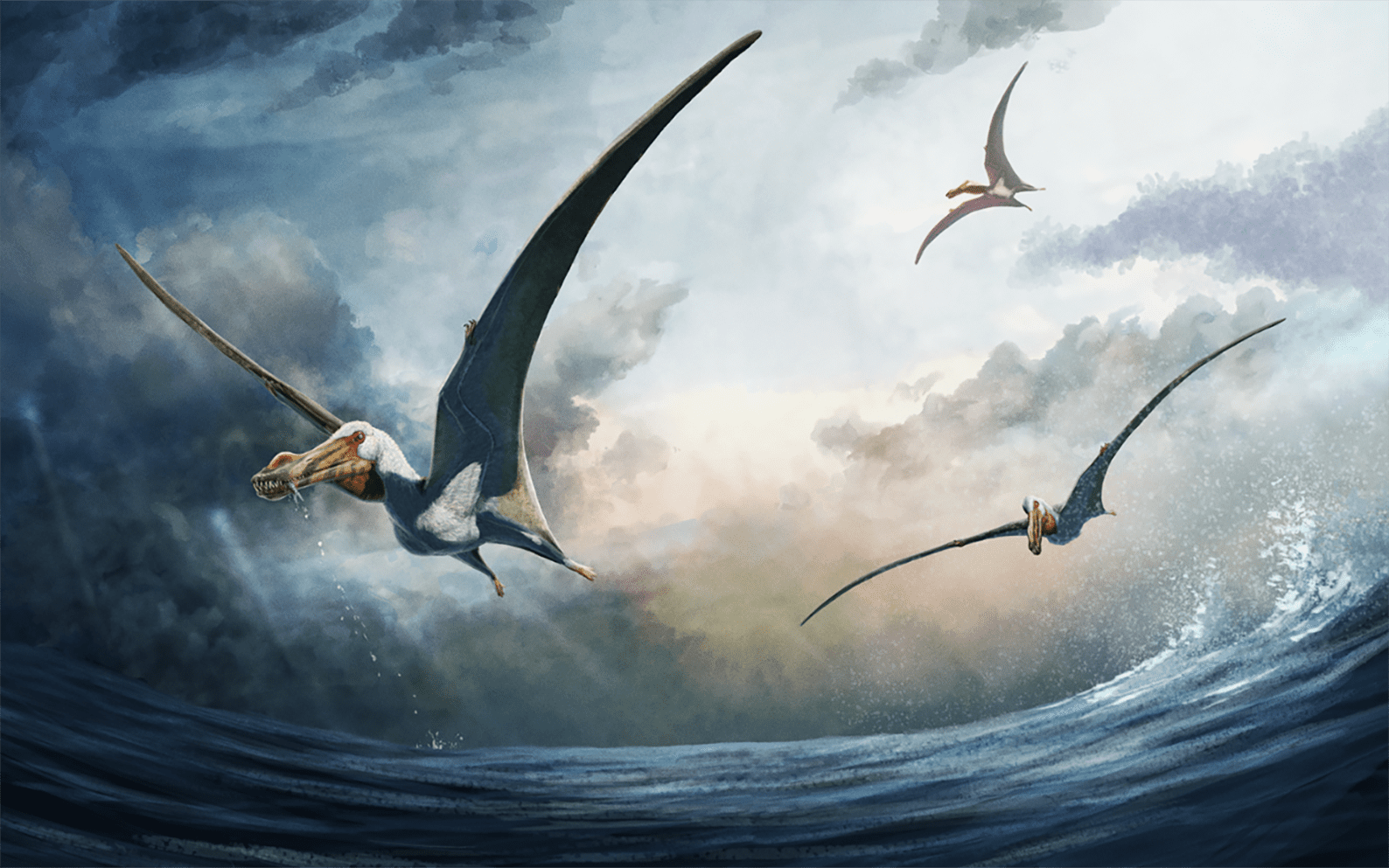 Image for No bones about it: 100-million-year-old bones reveal new species of pterosaur