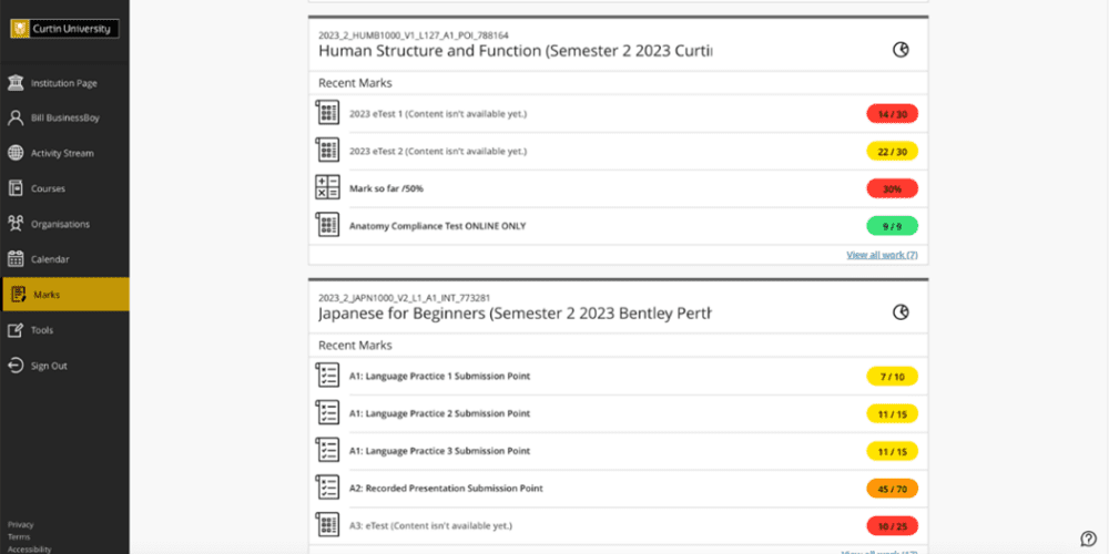 Screenshot of Blackboard marks page.