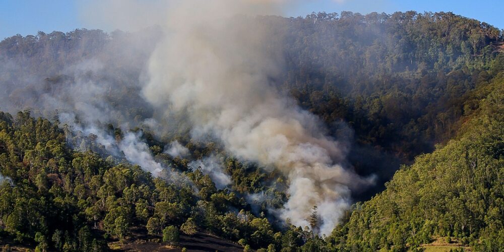 Bushfire smoke sparks surges in Perth hospital admissions