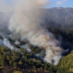 Bushfire smoke sparks surges in Perth hospital admissions