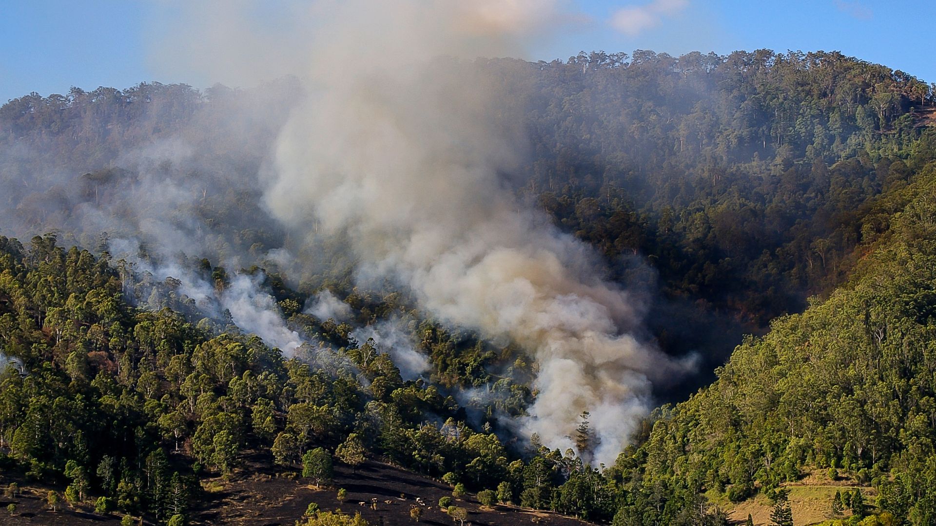 Image for Bushfire smoke sparks surges in Perth hospital admissions