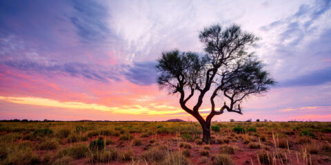 Support from WA's Regional University Study Hubs