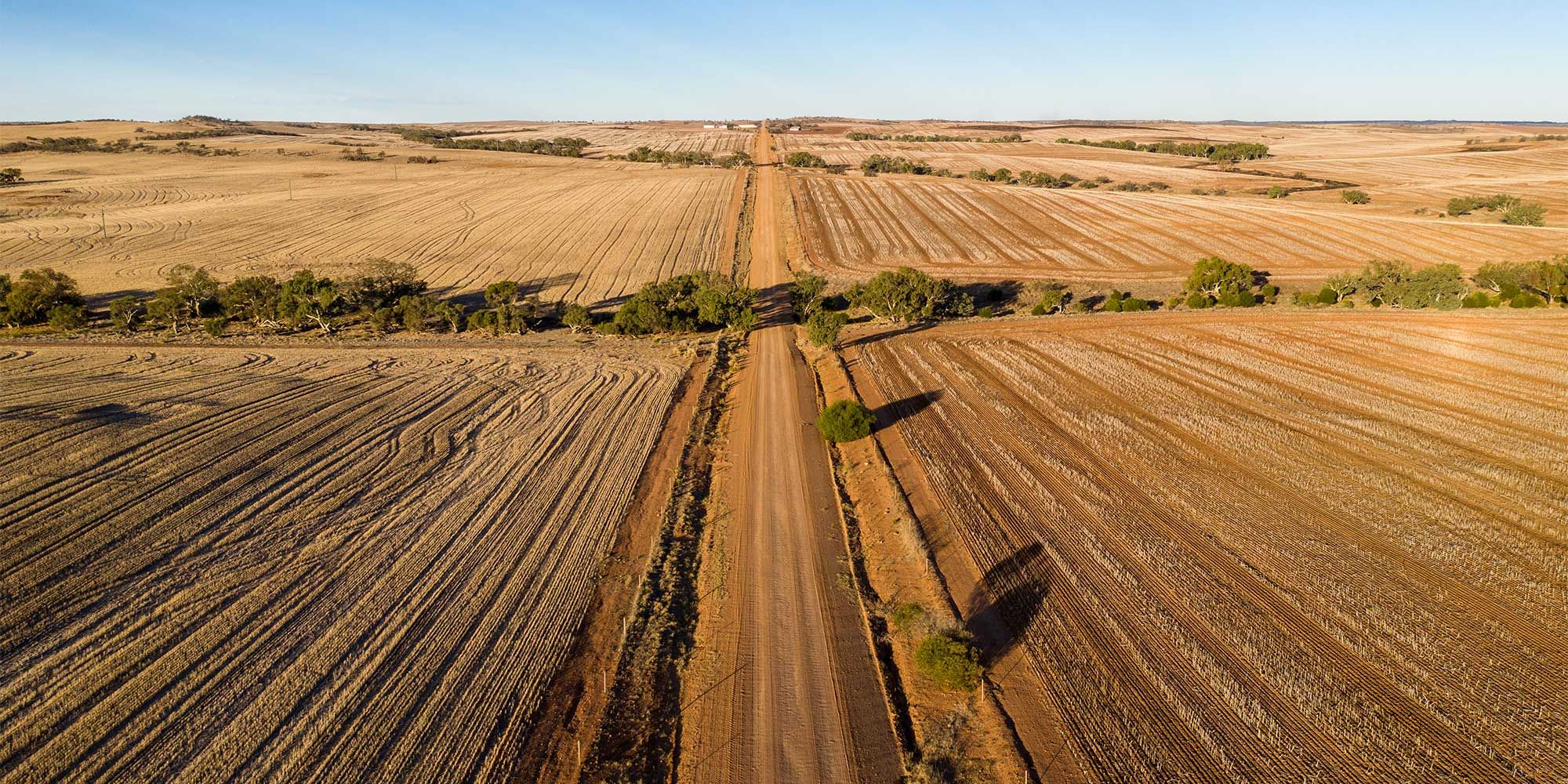 Ariel shot of regional fields