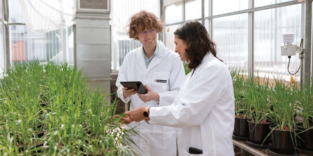 Two researchers looking at plants