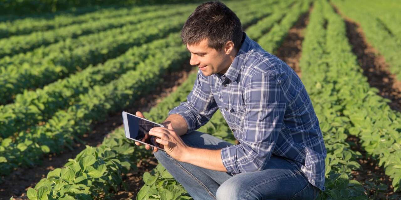 Man sitting in a field working on a laptop